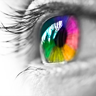 Same Day Doorhangers